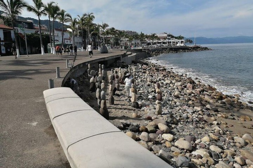 14 Passenger Vallarta Private City Tour