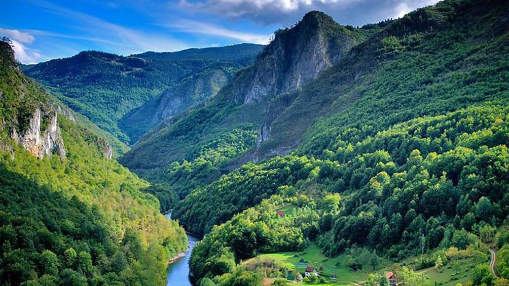The green and mountainous landscape in Dubrovnik