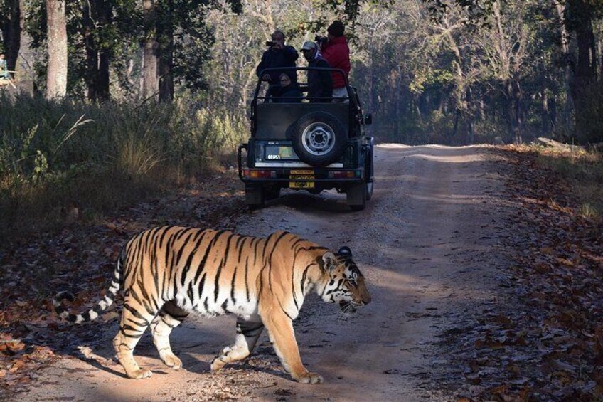 4 Days Golden Triangle Tour with Ranthambore from Delhi