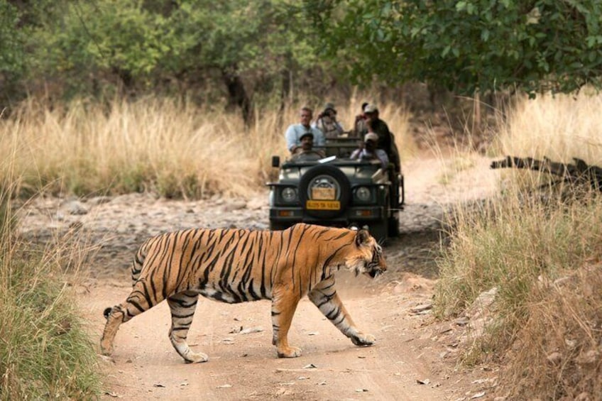 4 Days Golden Triangle Tour with Ranthambore from Delhi