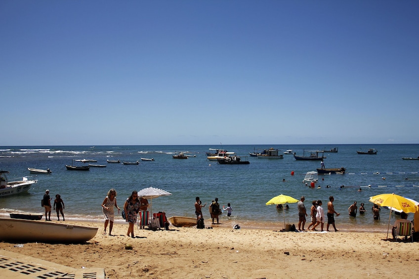 Praia Do Forte and Guarajuba Beach Tour