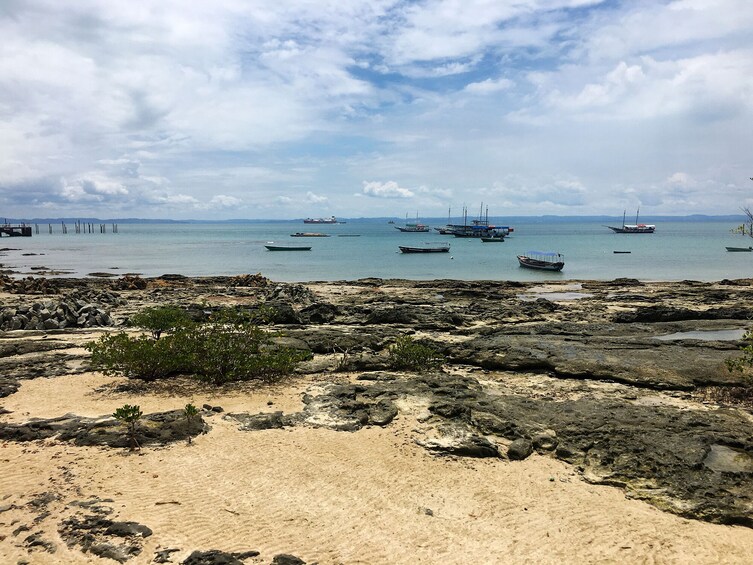 Schooner Island Tour