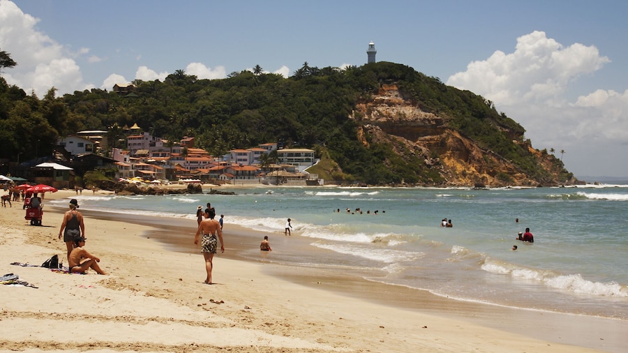 Morro de São Paulo Beach Tour