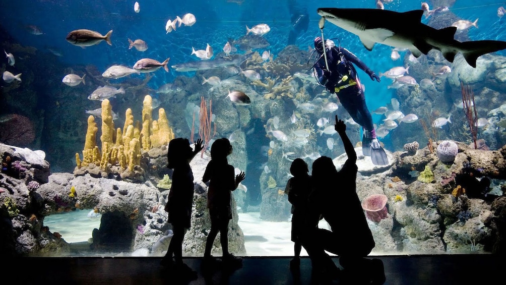 Family admires the aquarium at the Temaikèn Zoo in Buenos Aires 