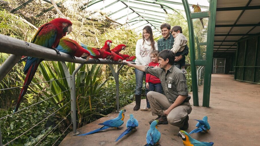 Self-Guided Temaikèn Zoo Tour