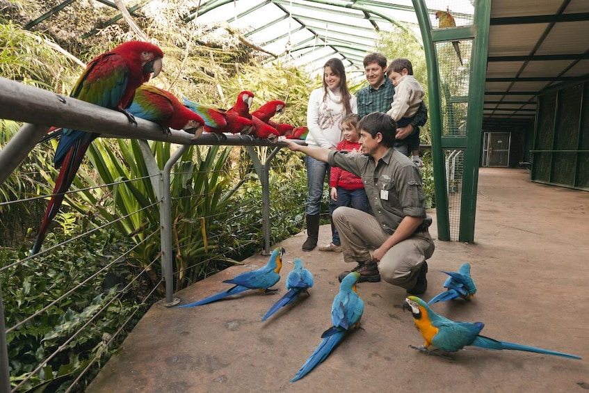 Self-Guided Temaikèn Zoo Tour