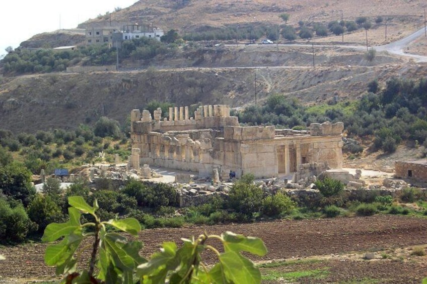 Half Day Private Tour to Iraq al-Amir (Qasr al-‘Abed & The Caves)