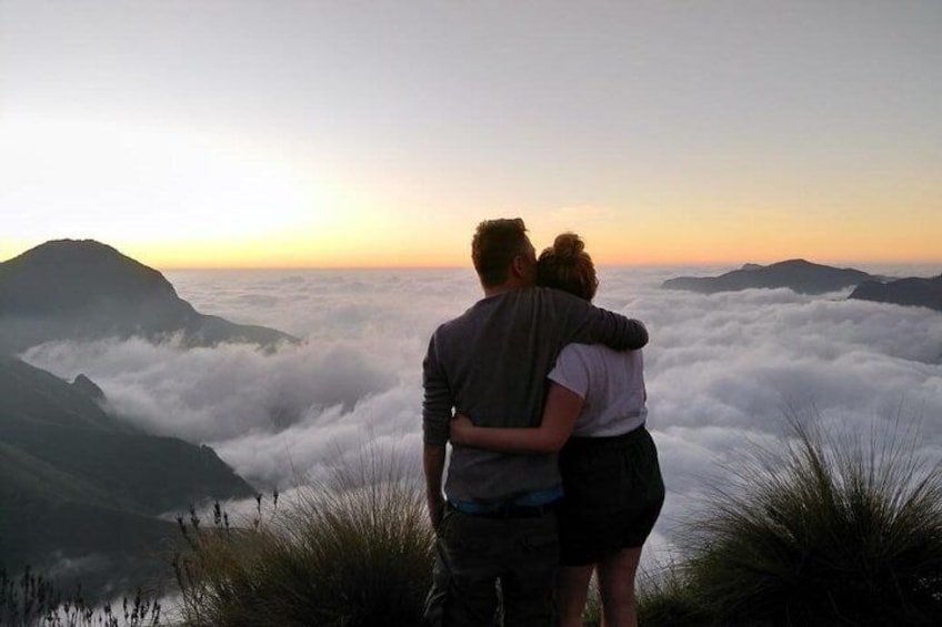 Half Day Tour to Watch Sunrise on Top Station, Munnar