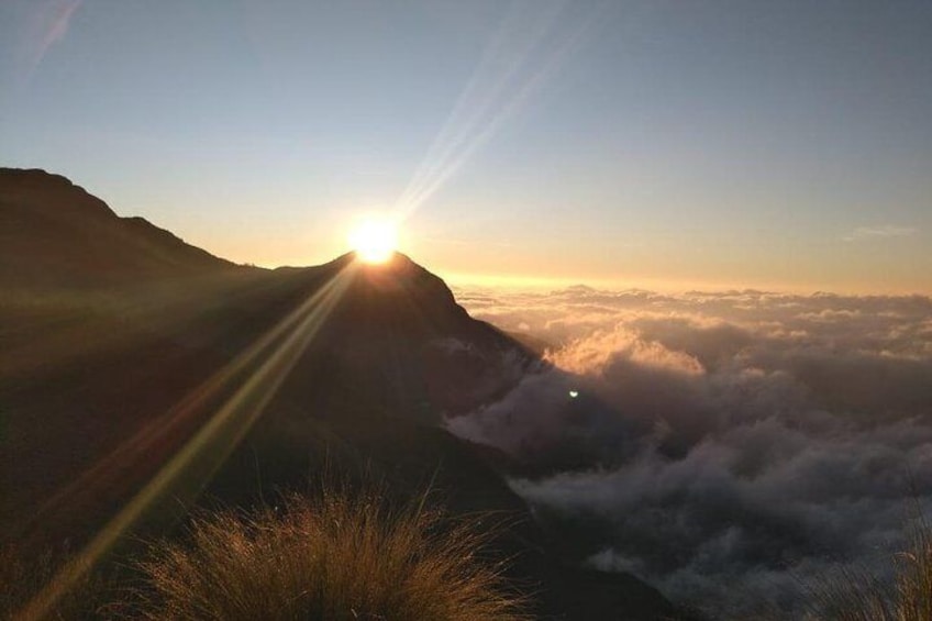 Half Day Tour to Watch Sunrise on Top Station, Munnar