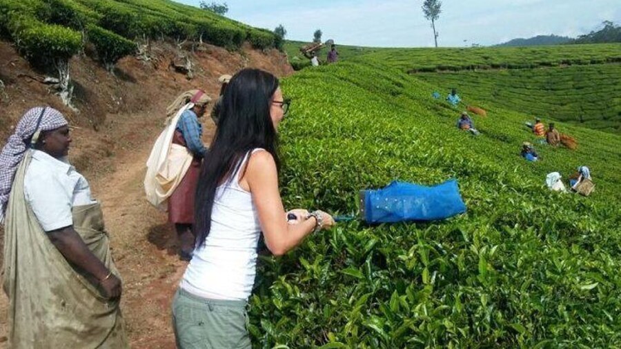 Tea planation hiking In Munnar-