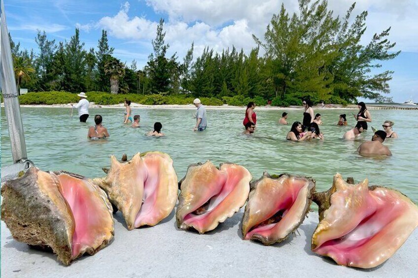Stingray City Sandbar, Coral Gardens Snorkeling & Starfish Point