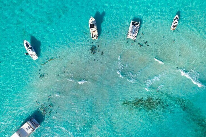 Stingray City Sandbar, Coral Gardens Snorkeling & Starfish Point