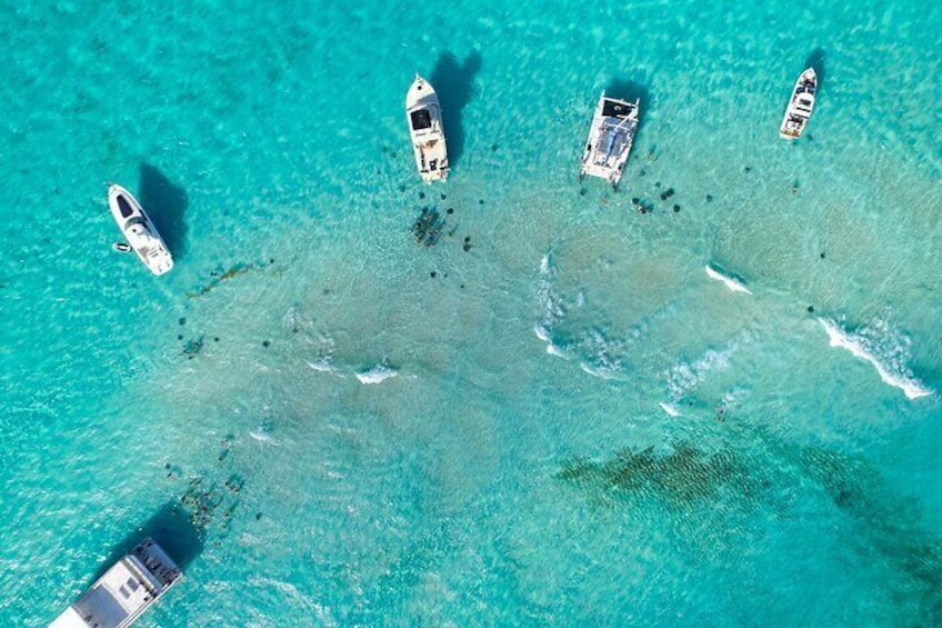 Stingray City Sandbar, Coral Gardens Snorkeling & Starfish Point