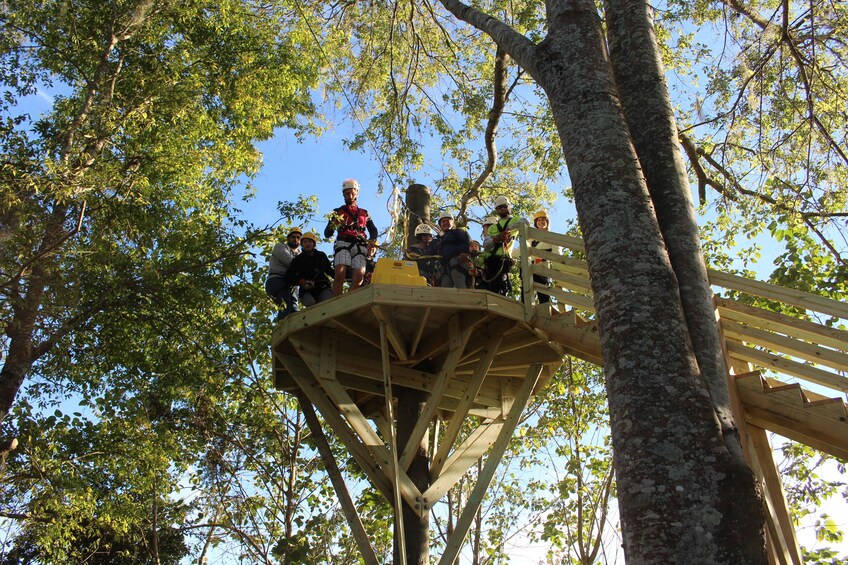 Show item 5 of 5. Sky High Zip Line Tour
