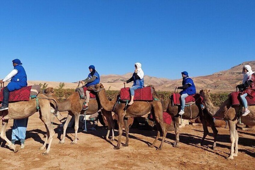 Atlas Mountains, Imlil valley, waterfalls, & Camel ride Day trip from Marrakech