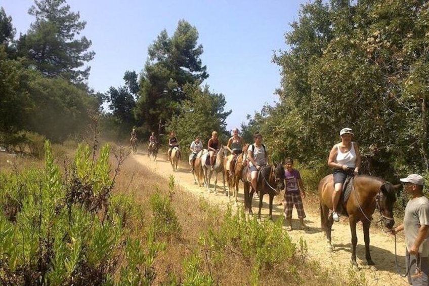 Horse Safari