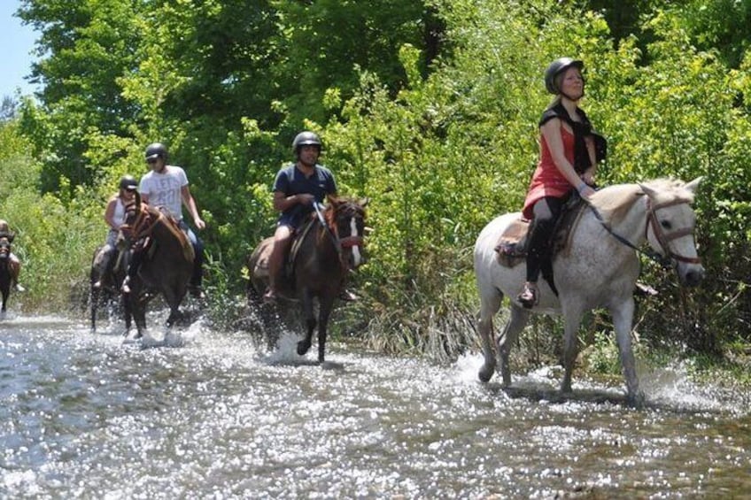 Horse Safari