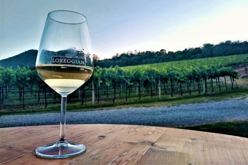 From Padua, Wine Tour in the Euganean Hills