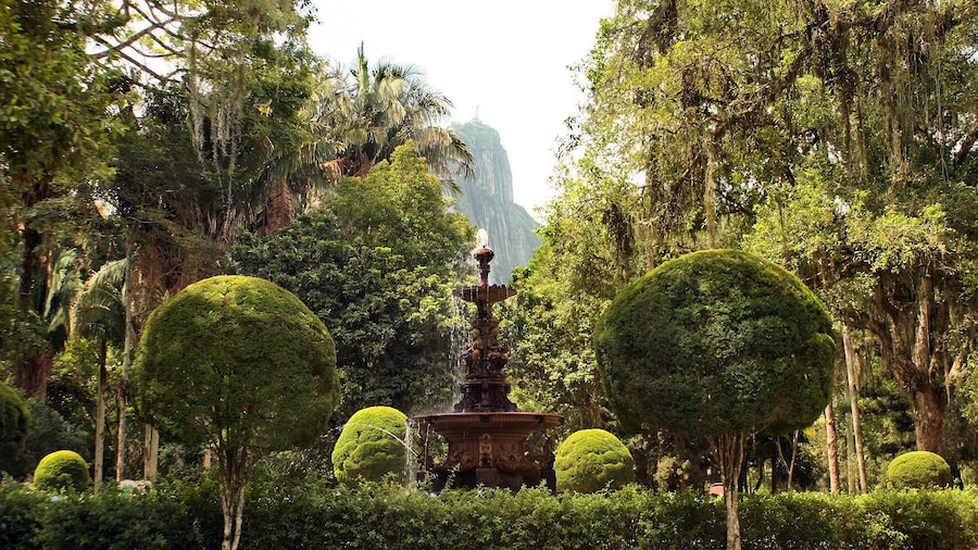 Rio de Janeiro Botanical Garden