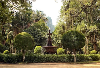 Rio de Janeiros botaniska trädgård