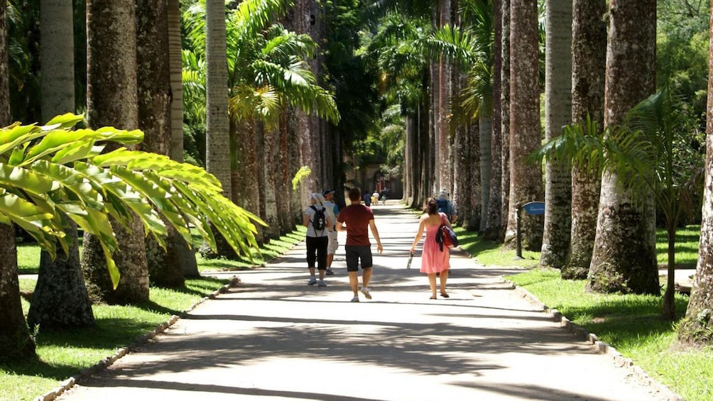 People walking down the Avenue of Royal Palms in the Botanical Garden in Rio de Janeiro