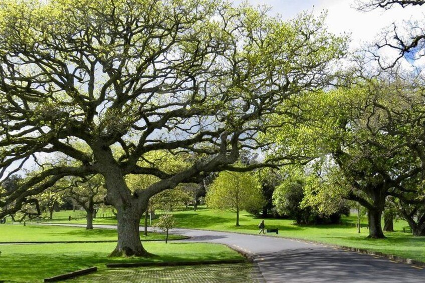 Cornwall Park
