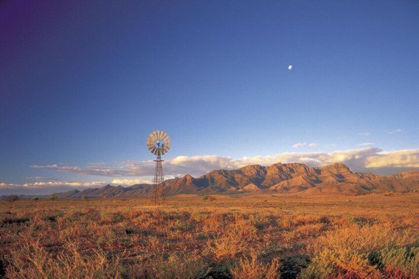  Flinders Ranges 3 Day 4WD Small Group Eco Tour from Adelaide