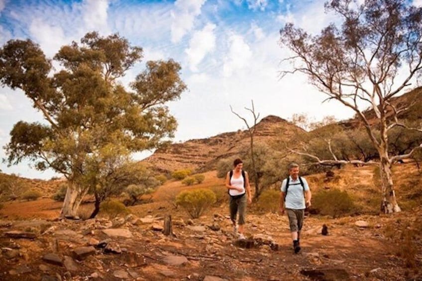  Flinders Ranges 3 Day 4WD Small Group Eco Tour from Adelaide