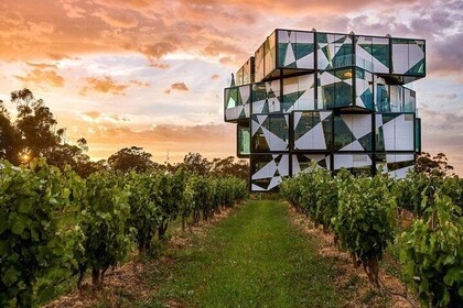 d'Arenberg Cube / McLaren Vale Regional Tour