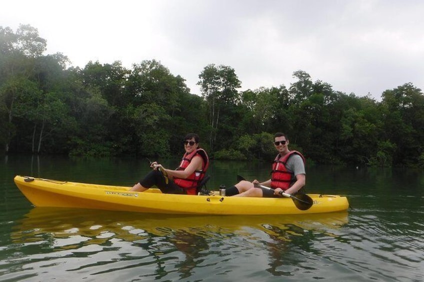 Mangrove Kayaking Adventure