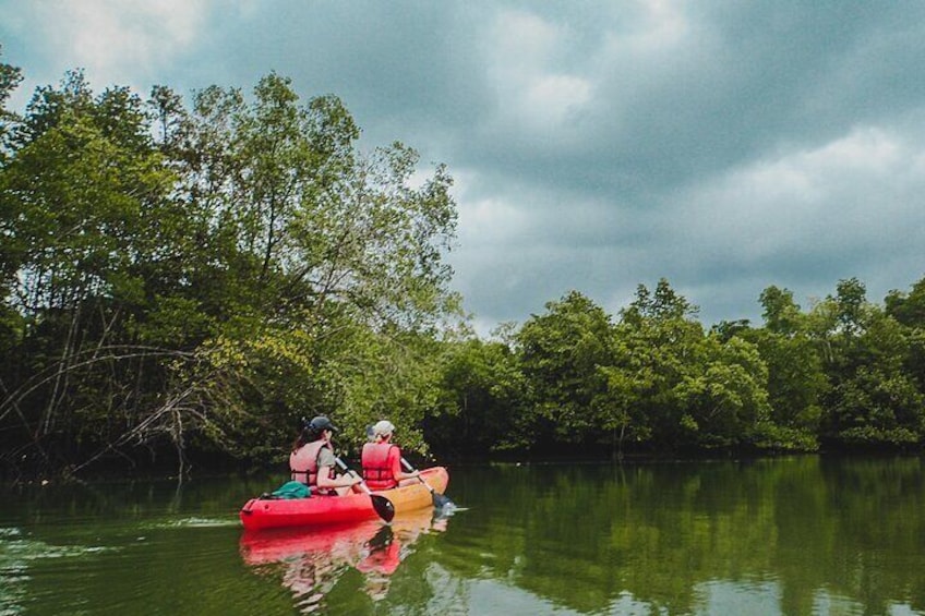 nature kayaking