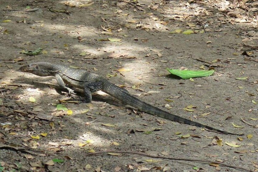 Ubin Bike Trail Adventure