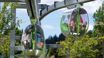 Shweeb Racer Ride