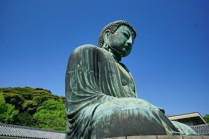 Kamakura Half Day Walking Tour with Local Experience