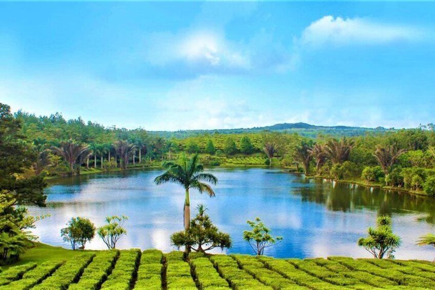 Tea tasting session on the plantation house