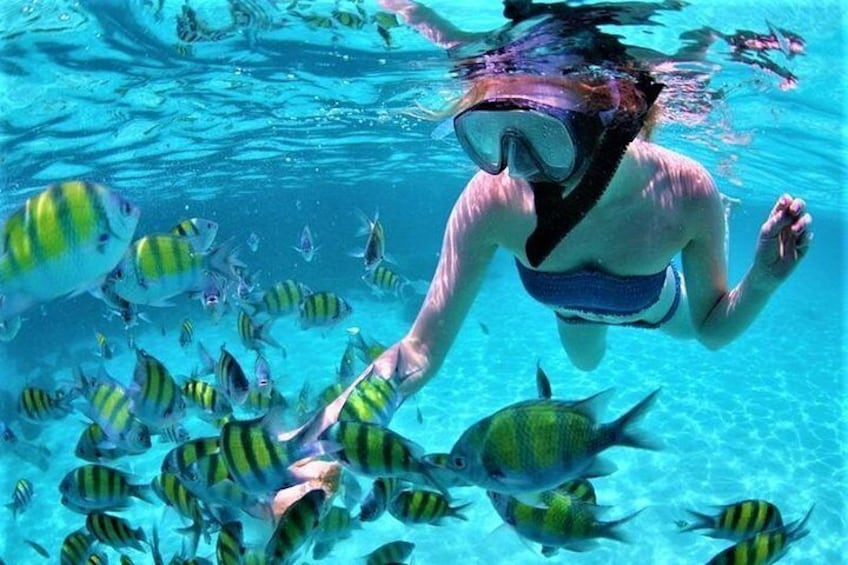Free Snorkeling Session