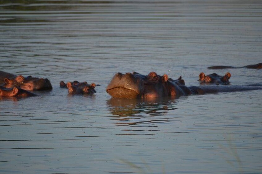 Day Trip Morogoro - Mikumi National Park