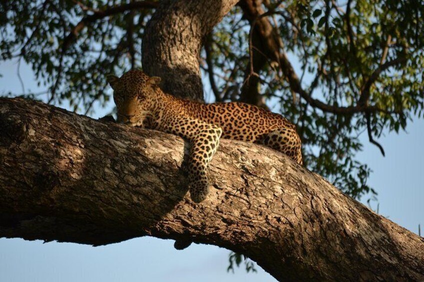 Day Trip Morogoro - Mikumi National Park