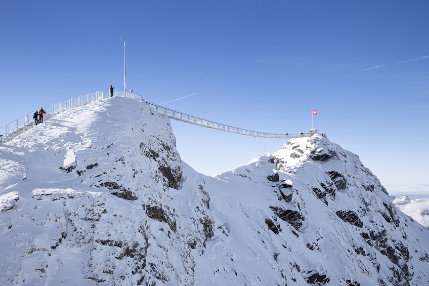 Glacier 3000, Exclusive Private tour , High level experience