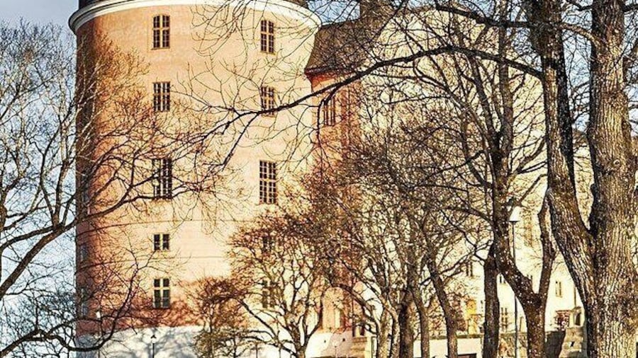 Day-Trip- to-Uppsala
