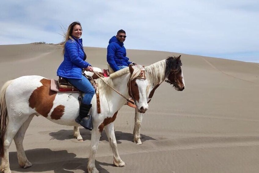 Penguins+Horseback riding+Barbecue in Cachagua & Sand Dunes (FROM VALPARAISO)