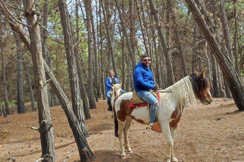 Penguins+Horseback riding+Barbecue in Cachagua & Sand Dunes (FROM SANTIAGO)