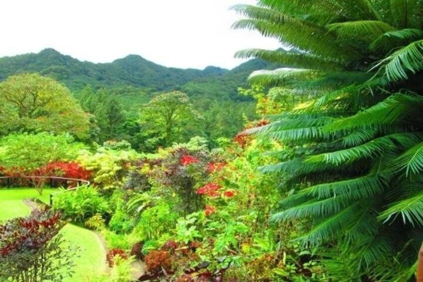 Montreal Gardens Tour for Groups of 6 Persons or More