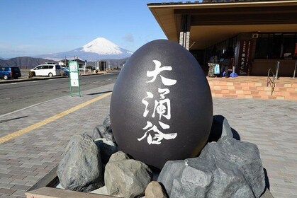 Hakone & Mt Fuji One Day Tour by Charter Private Car Van 