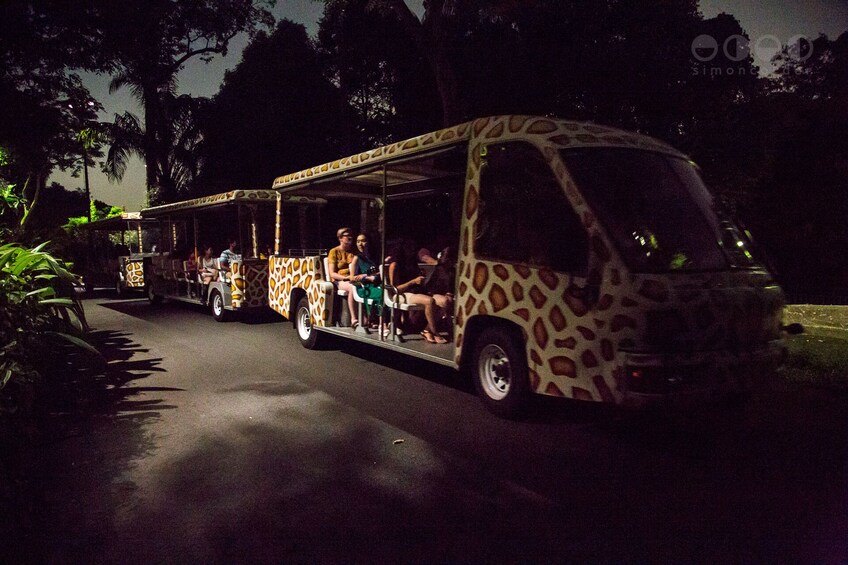 singapore night safari tram ride price