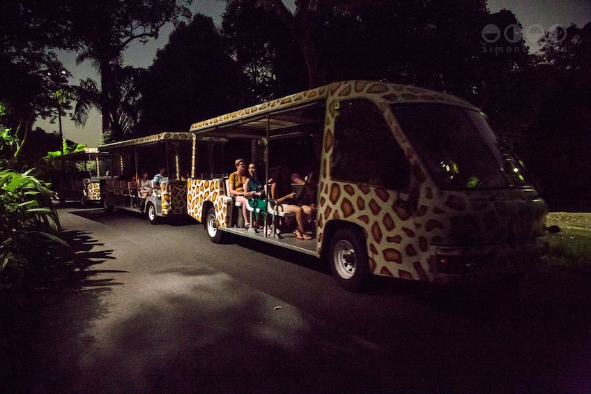 Show item 1 of 5. Singapore Night Safari with Tram Ride (Shared Transfer)