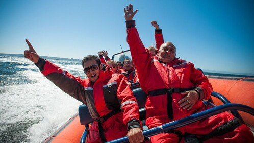 Seaplane Flight & Zodiac Tour of Howe Sound