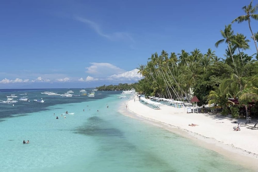 Show item 2 of 6. Affordable Panglao Island Tour with Lunch