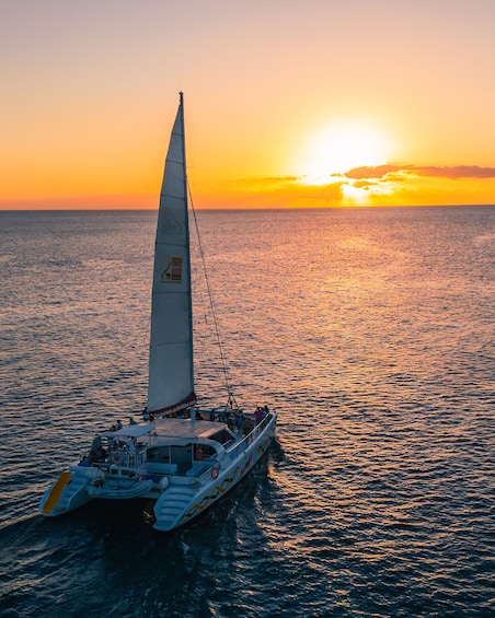 Tango Sunset Cruise with Caribbean Dinner & Open Bar