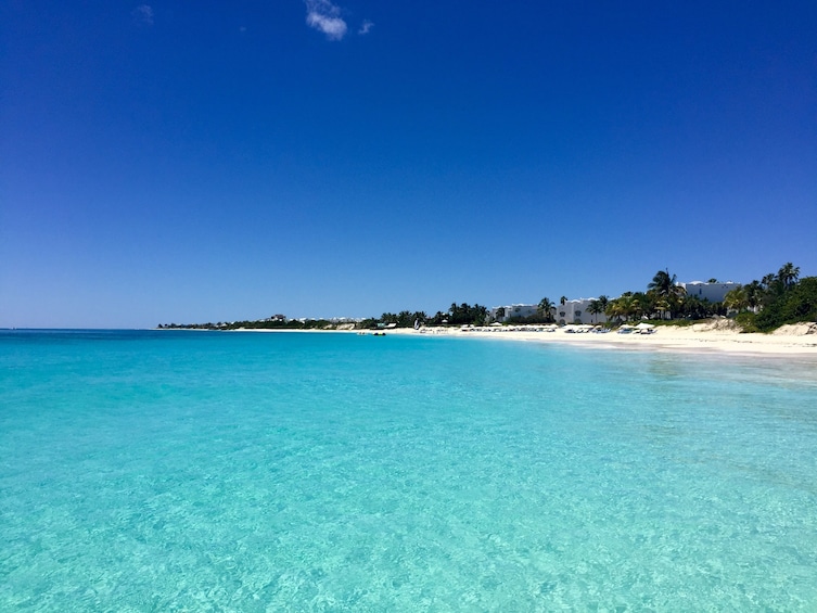 Mambo Catamaran Cruise to Rendezvous Bay Anguilla with Lunch